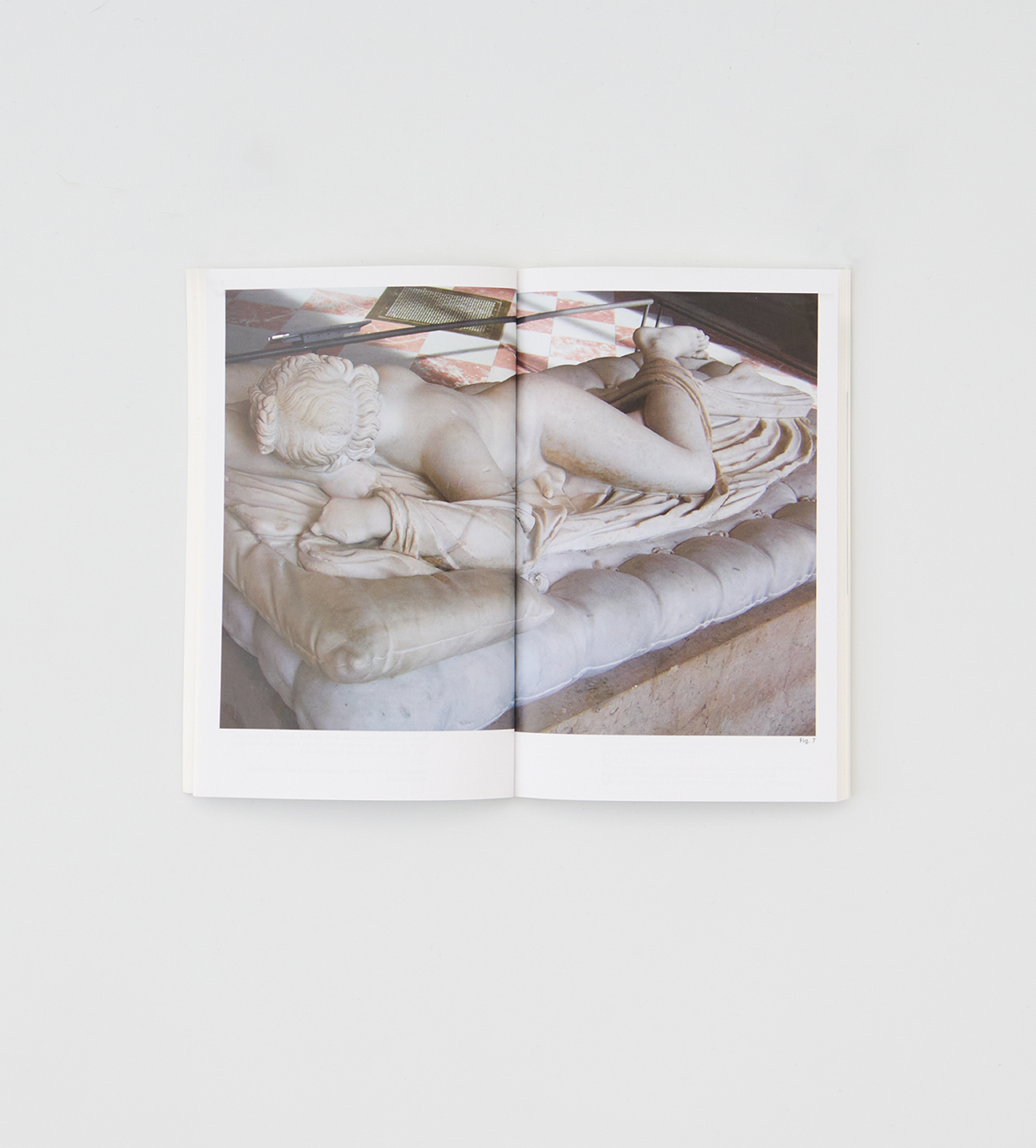 The Sleeping Hermaphrodite - Image 2
