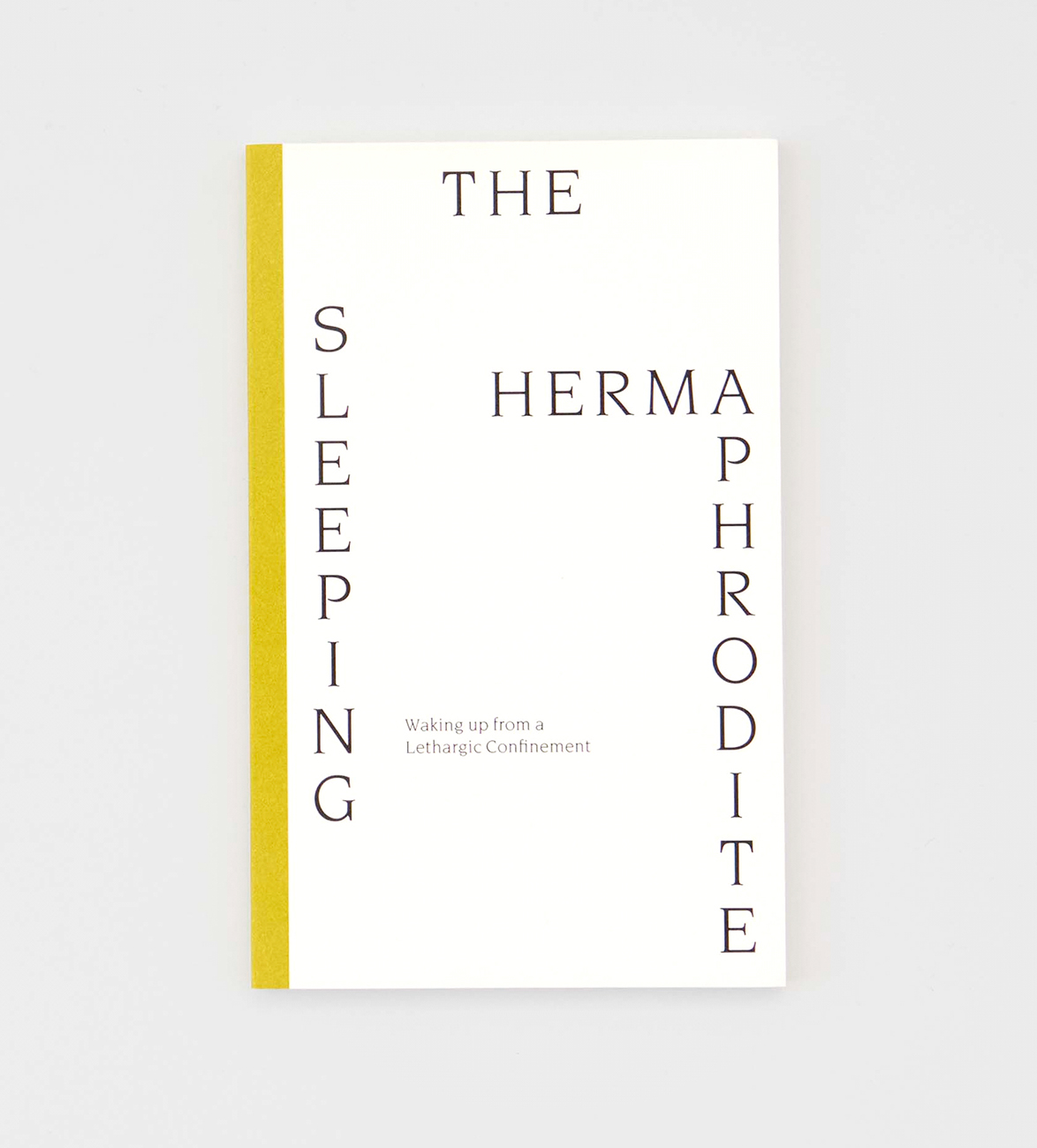 The Sleeping Hermaphrodite